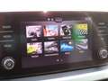 Skoda Kamiq Tour 1.0TSi 81kW RFK beh. LR Negro - thumbnail 20