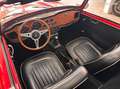 Triumph TR3 TR tr4 a irs overdrive Rood - thumbnail 3