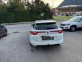 Renault Megane BOSE-Edition Weiß - thumbnail 16