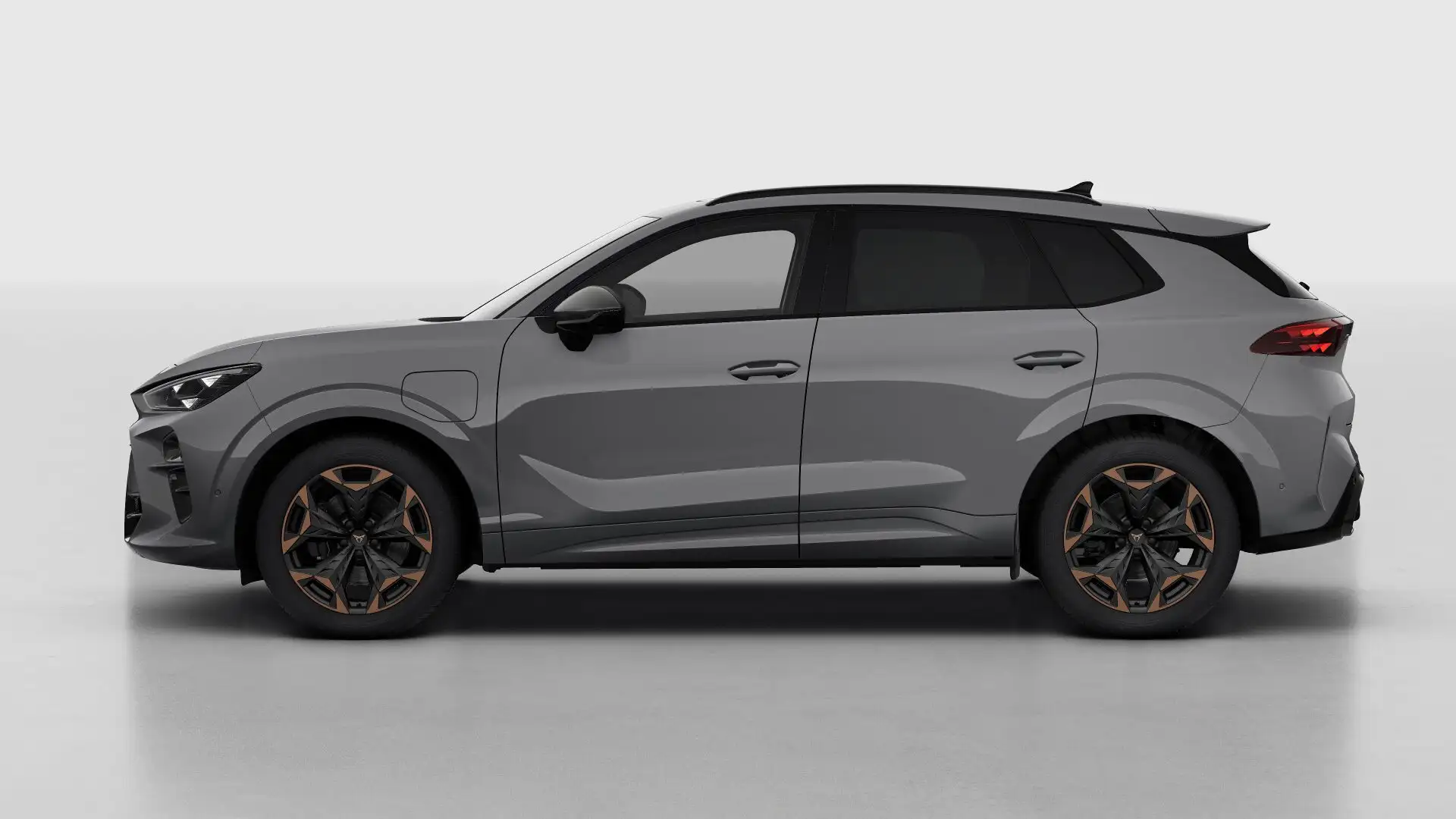 CUPRA Terramar VZ Performance | 360 graden camera | Achteruitrijc Grijs - 2
