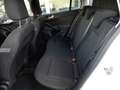 Ford Focus Turnier C&C 1,5 EcoBlue *LED / NAVI / AHV / ACC... Weiß - thumbnail 12