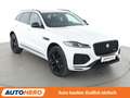 Jaguar F-Pace D300 Mild-Hybrid R-Dynamic Black AWD Aut.*NAVI*ACC Weiß - thumbnail 8