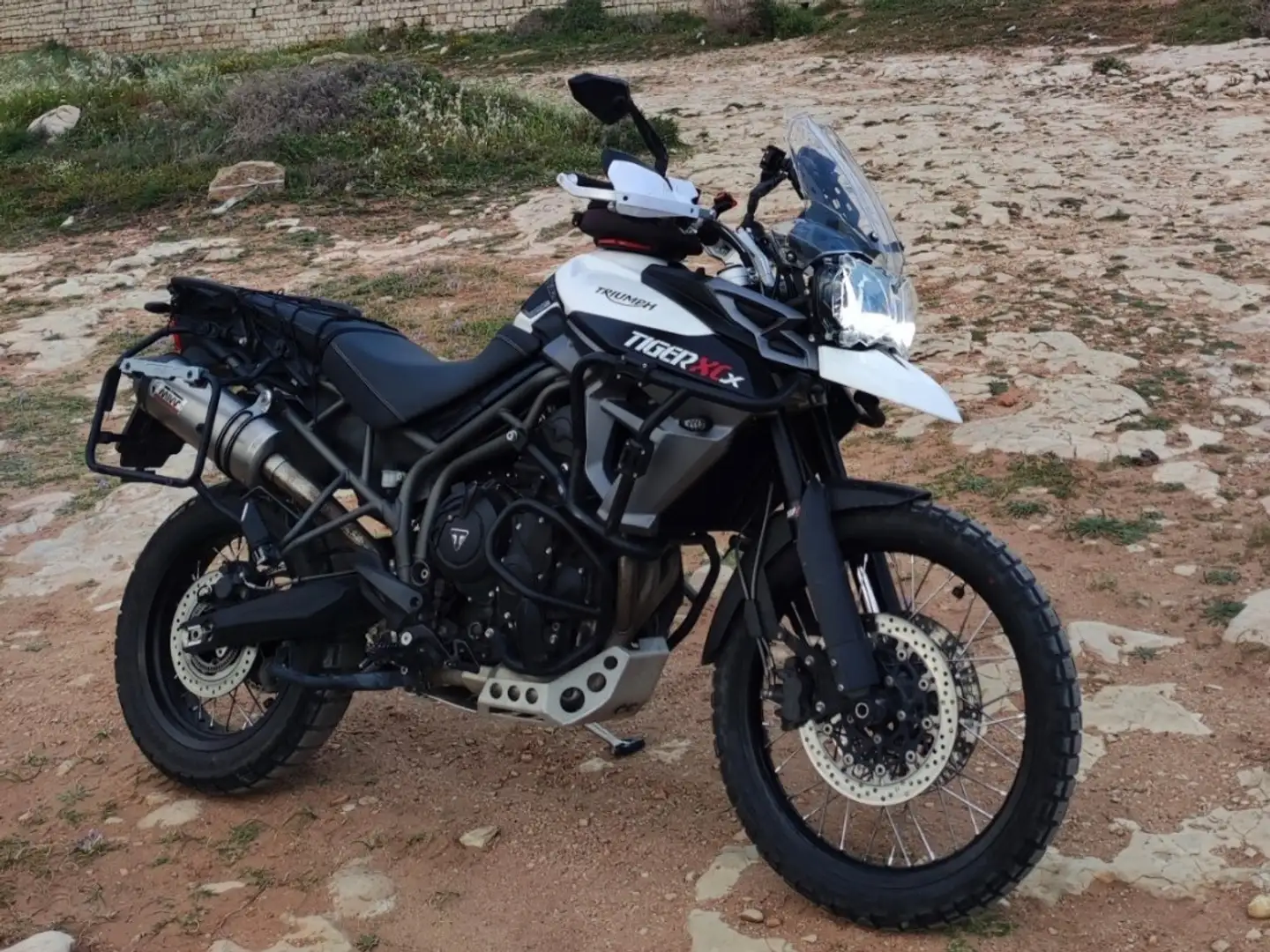 Triumph Tiger 800 xcx Alb - 1