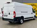 Opel Movano Kasten L4H2 3.5T FACELIFT *NAVIGATION*R-KAMERA* Weiß - thumbnail 3
