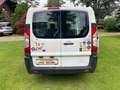 Citroen Jumpy HDi 165 FAP 29 L2H1 Kasten Alb - thumbnail 2