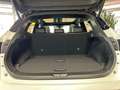 Nissan Qashqai Tekna+ 1.5 VC-T e-Power, HUD, SH, Kamera Bianco - thumbnail 13