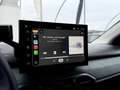 Dacia Sandero Stepway Extreme TCe 110 *Modell 2026* LED PDC S... Gelb - thumbnail 21