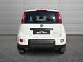 Fiat Panda Panda 1.0 firefly hybrid City Life s&s 70cv 5p.ti Weiß - thumbnail 11