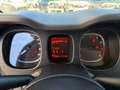 Fiat Panda Panda 1.0 firefly hybrid City Life s&s 70cv 5p.ti Weiß - thumbnail 8