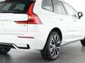 Volvo XC60 Plus Dark AWD Digitales Cockpit Memory Sitze Sound Weiß - thumbnail 11