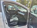 SEAT Ibiza Style 1.0 TSI NAVI/RFK/Full Link/GJR/LED Weiß - thumbnail 23