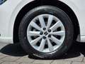SEAT Ibiza Style 1.0 TSI NAVI/RFK/Full Link/GJR/LED Weiß - thumbnail 29