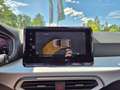 SEAT Ibiza Style 1.0 TSI NAVI/RFK/Full Link/GJR/LED Weiß - thumbnail 20