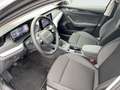Skoda Octavia Essence TDI Grau - thumbnail 8