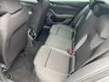 Skoda Octavia Essence TDI Grau - thumbnail 11