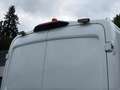 Ford Transit 2.0 TDCi 350 L2H2 Trend FWD Sortimo-Ausbau/2xSTH/ Weiß - thumbnail 46