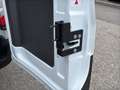 Ford Transit 2.0 TDCi 350 L2H2 Trend FWD Sortimo-Ausbau/2xSTH/ Weiß - thumbnail 43