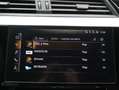 Audi e-tron 50 Quattro Launch edition Black 71 kWh S-Line | Na Grijs - thumbnail 19