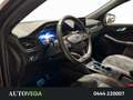 Ford Kuga 2.0 ecoblue st-line awd 190cv auto - thumbnail 7