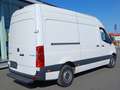 Mercedes-Benz Sprinter 317 CDI Sprinter L2 H2 9G-Tronic CAMERA Blanc - thumbnail 7
