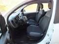 Fiat Panda AUTOCARRO N-1 / 4-POSTI IVA DEDUCIBILE 46.000 KM Weiß - thumbnail 10
