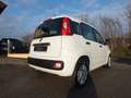 Fiat Panda AUTOCARRO N-1 / 4-POSTI IVA DEDUCIBILE 46.000 KM Weiß - thumbnail 4
