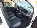 Fiat Panda AUTOCARRO N-1 / 4-POSTI IVA DEDUCIBILE 46.000 KM Weiß - thumbnail 15