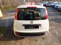 Fiat Panda AUTOCARRO N-1 / 4-POSTI IVA DEDUCIBILE 46.000 KM Weiß - thumbnail 5