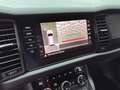 Skoda Kodiaq RS TDI 4X4/7-SITZE/PANO/STDHZ/AHK/ACC/360 Gris - thumbnail 10