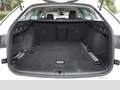 Skoda Octavia Combi Selection 1.5 TSI NAVI+LED+SHZ+PDC Blanc - thumbnail 6