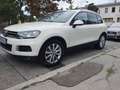 Volkswagen Touareg Touareg Sky V6 TDI BMT 4Motion Aut. Sky Weiß - thumbnail 9