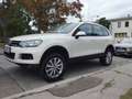 Volkswagen Touareg Touareg Sky V6 TDI BMT 4Motion Aut. Sky Weiß - thumbnail 8