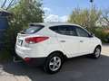 Hyundai iX35 2,0 CRDi Premium 4WD Aut. AHK Panorama Pickerl NEU Weiß - thumbnail 3