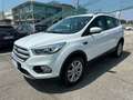 Ford Kuga 2.0 tdci Business s&s awd 150cv powershift Bianco - thumbnail 2