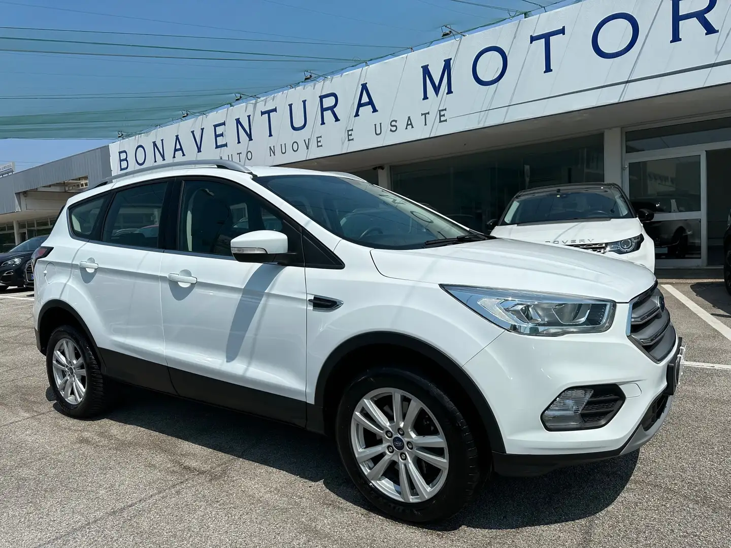 Ford Kuga 2.0 tdci Business s&s awd 150cv powershift White - 1