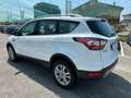 Ford Kuga 2.0 tdci Business s&s awd 150cv powershift Bianco - thumbnail 3