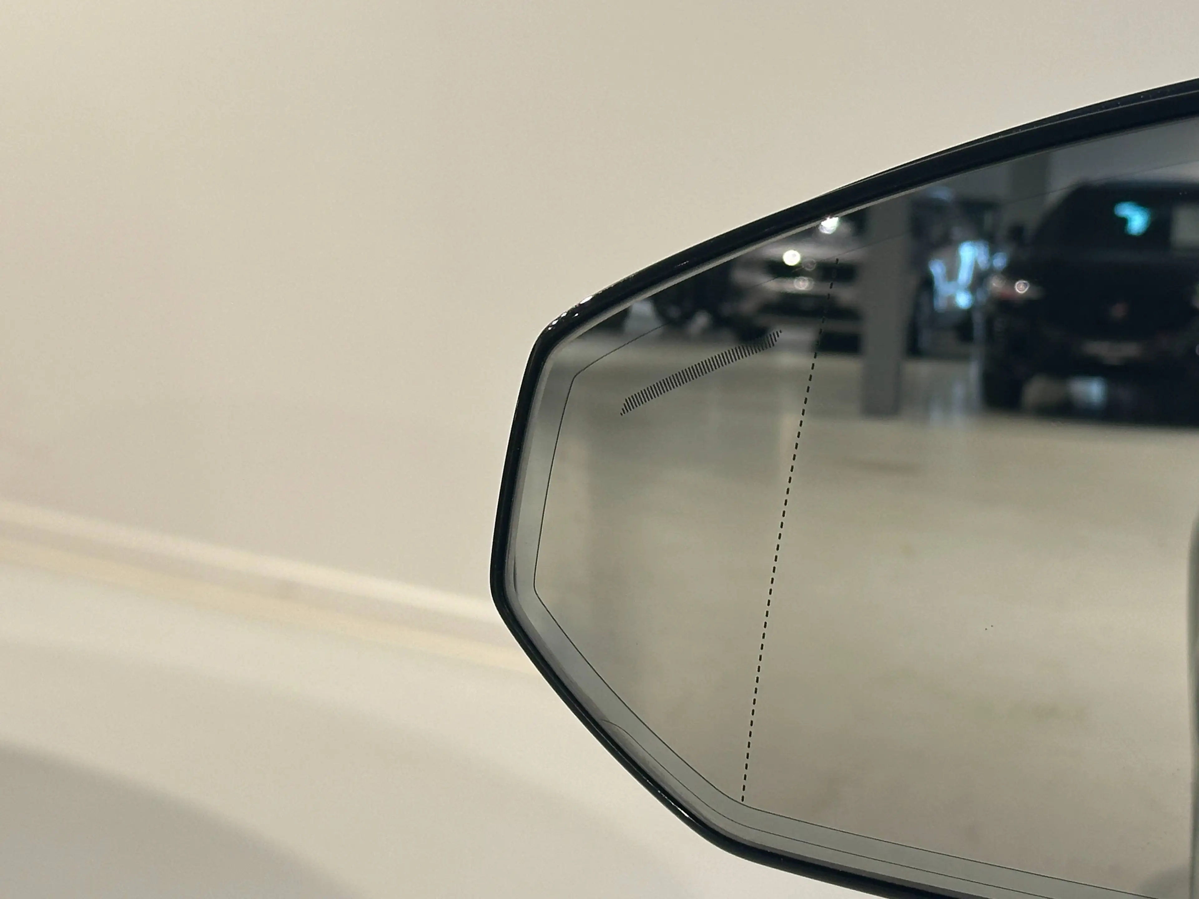 Polestar 2 Polestar 2 LONG RANGE + PILOT + PLUS PACK + ZETELVENTILATIE — photo 10