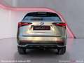 Lexus Business Gri - thumbnail 11