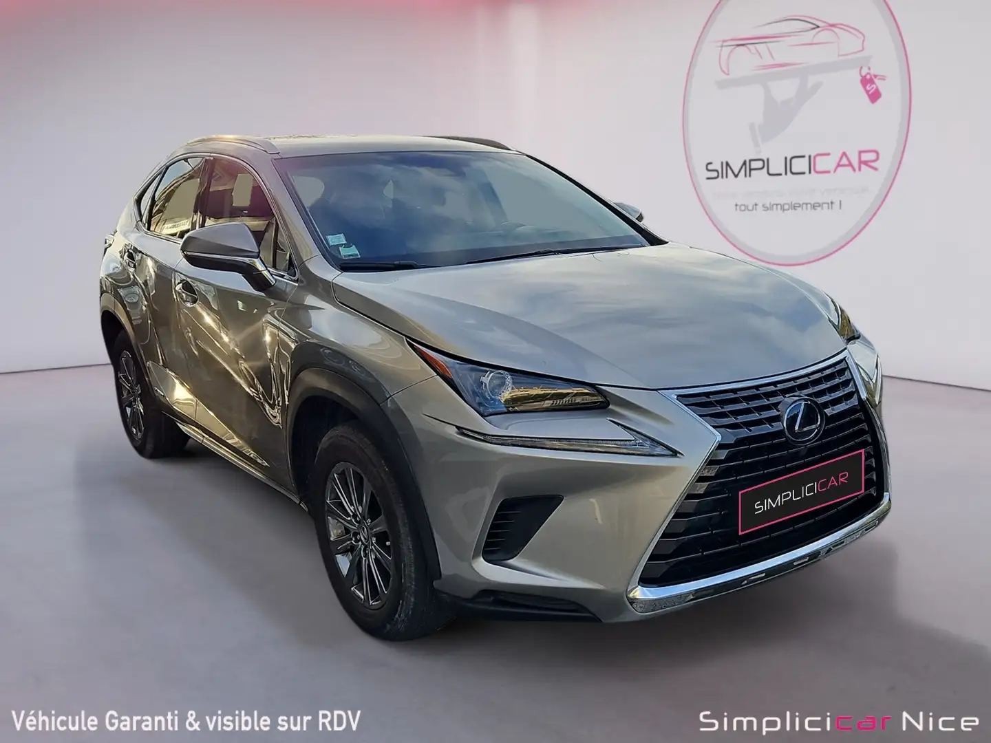 Lexus Business Gri - 1