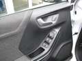Ford Puma Titanium *NAVI*LED*WINTER-PAKET* Alb - thumbnail 9