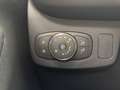 Ford Puma 1.0 EcoBoost Hybrid 125 CV S&S Titanium Weiß - thumbnail 13