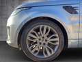 Land Rover Range Rover Sport Sport (neuer Motor) Grau - thumbnail 16