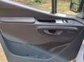 Mercedes-Benz Sprinter 316 CDI 4x4 / casco camper - thumbnail 6