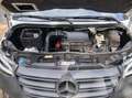 Mercedes-Benz Sprinter 316 CDI 4x4 / casco camper - thumbnail 13