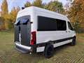 Mercedes-Benz Sprinter 316 CDI 4x4 / casco camper - thumbnail 3