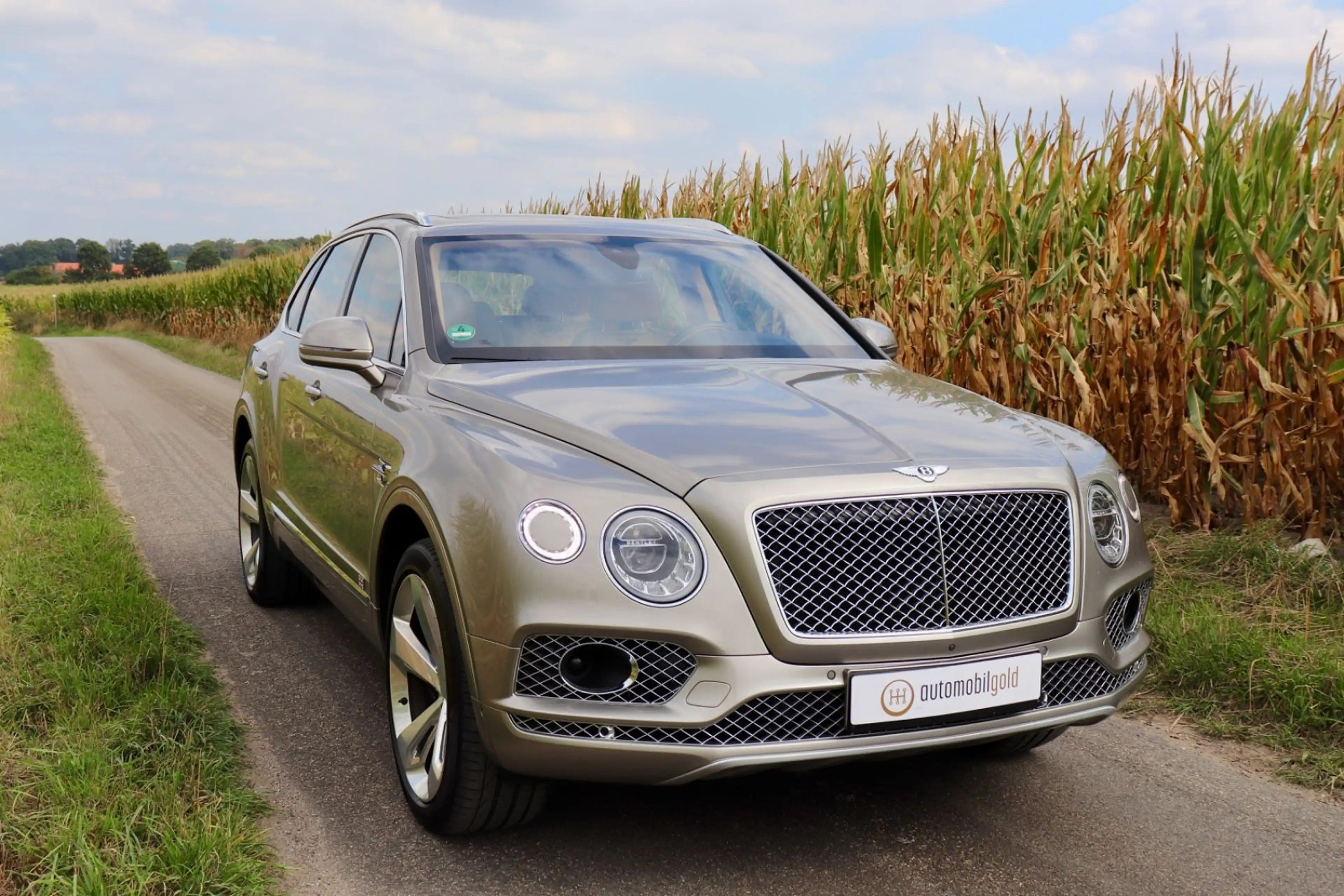 Bentley Bentayga V8 Diesel, 1. Hand, Mulliner, Naim, TOP — photo 10