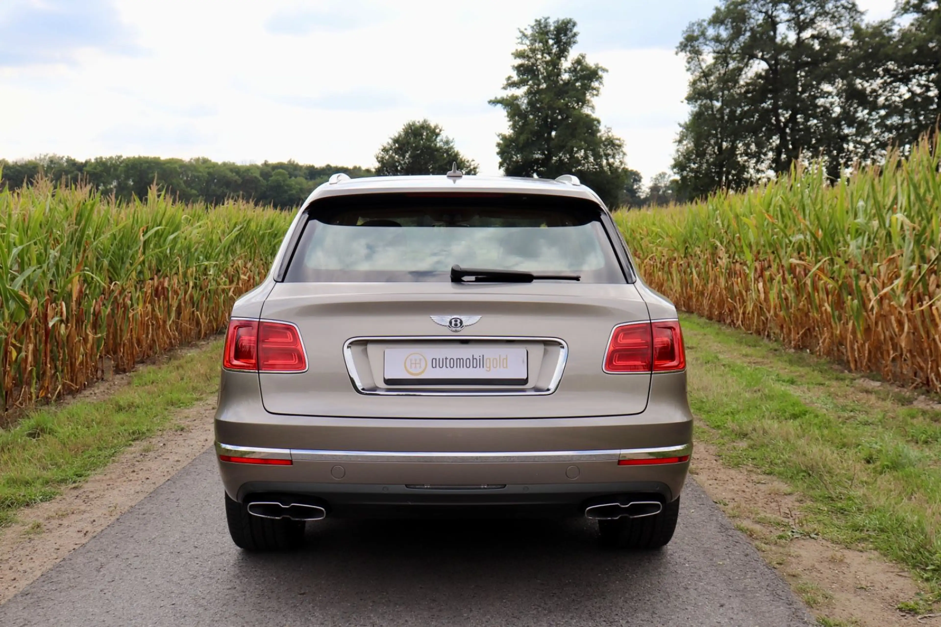 Bentley Bentayga V8 Diesel, 1. Hand, Mulliner, Naim, TOP — photo 8