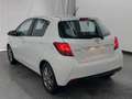 Toyota Yaris Yaris 5p 1.3 Bianco - thumbnail 6