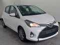 Toyota Yaris Yaris 5p 1.3 Bianco - thumbnail 3