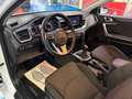 Kia Ceed / cee'd 1.0 T-GDI Eco-Dynamics Concept 120 Blanc - thumbnail 10